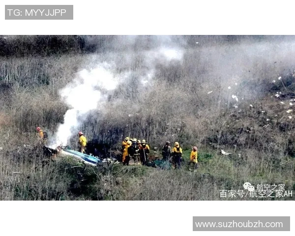 足球巨星空难悲剧揭秘坐飞机去世的传奇球员们的故事