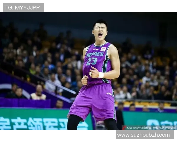 北京与辽宁总决赛首战精彩回顾争夺冠军的激烈对决与精彩瞬间