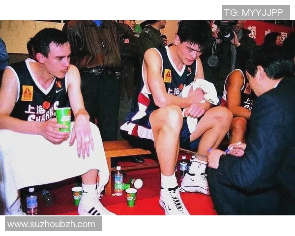 篮球明星与儿子的成长之路共同追梦的篮球情缘与父子情深